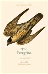 The Peregrine, J A Baker