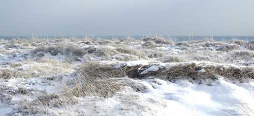 snö, is och vass snö, is och vass