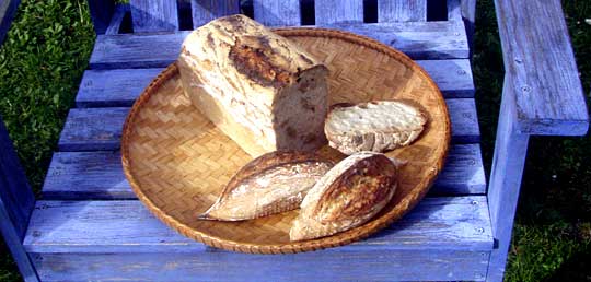Vårt dagliga bröd Nygräddat bröd