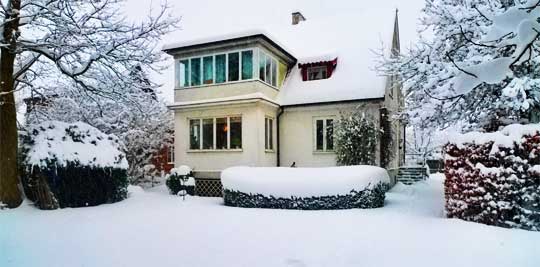 Trädgården i snö Trädgården i snö