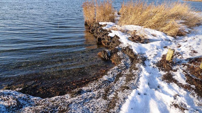 Lockande bad? Nej inte idag...