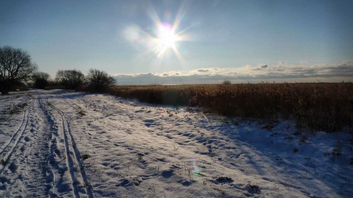 Söderut med solen i ansiktet