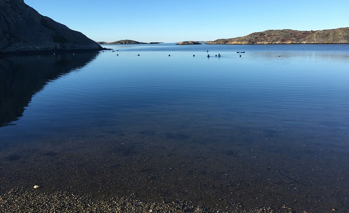 morgondopp – tidig söndagsmorgon