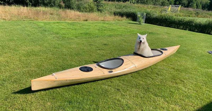 jack 14 "hund" – Björn Nachtveij jack 14 "hund" – Björn Nachtveij