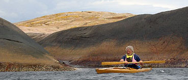 Gåsöarkipelagen