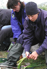 Koncentration i matlagningen - Lisa och Carin