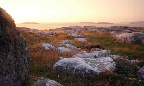 Kvällssol St Måkholmen