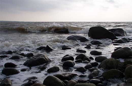 Vågor i strandkanten