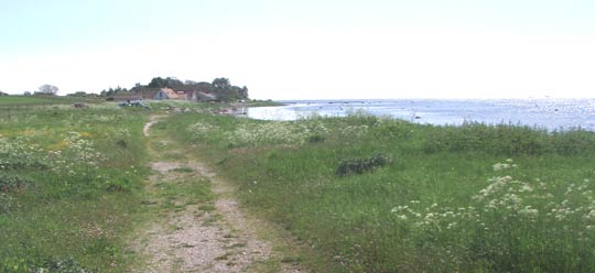 The beach at Vikhög