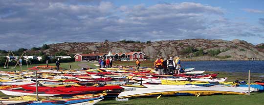 Kayaks galore