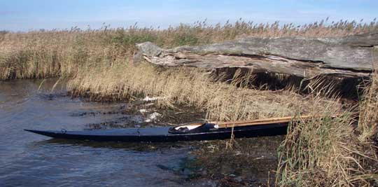 Fikapaus i vassen