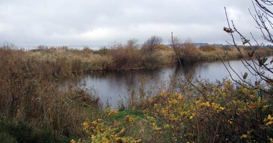 Autumn colors in Habo Ljung