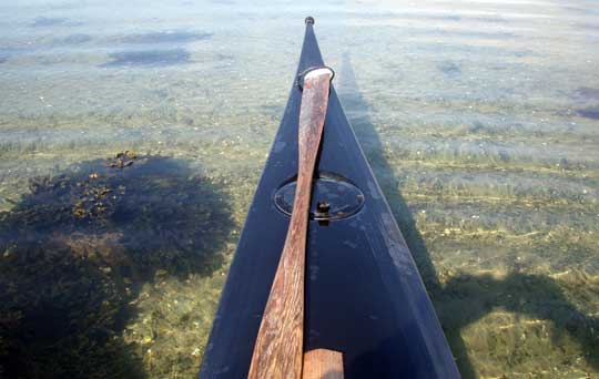 sommarfärger i vattnet