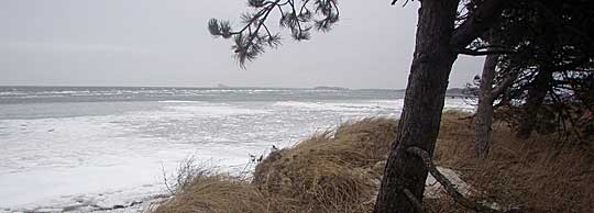 Winter beach at Lomma