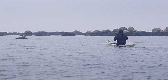 Petrus glider sakta allt närmare en säl under idogt fotograferande