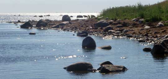 Stranden norr om Löddenäs