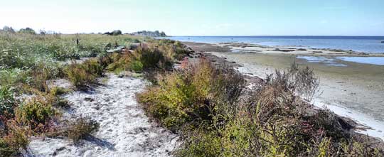 Högsommar i mitten av September