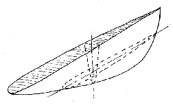 skäddans ungefärliga form