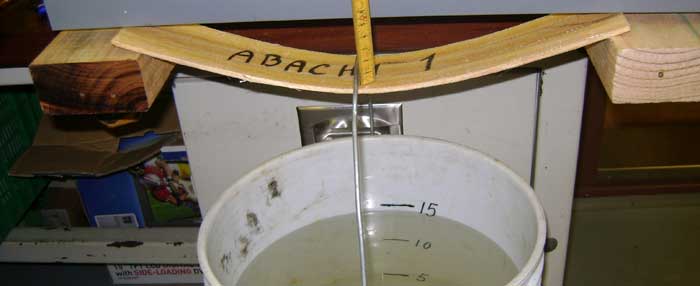 Abachi 1, 15 kg – 46 mm