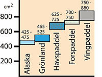 Bladarean i kvadratcentimeter för några olika paddeltyper: Alaskapaddel 435-475. Grönlandspaddlar 465-525. Havspaddlar 625-725. Forspaddlar 700-750. Vingpaddlar 750-880.