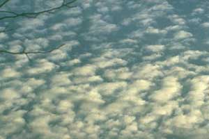 Altocumulus