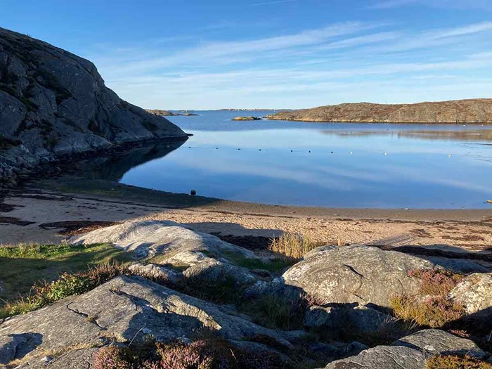 Stocken 2025