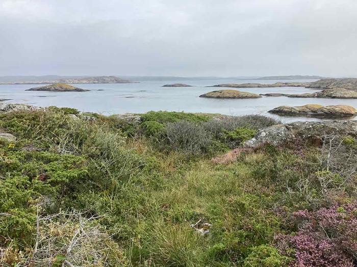 Stocken 2025