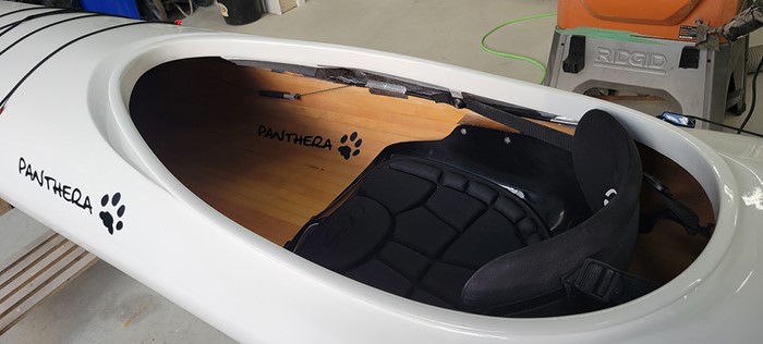 Panthera – Jeremy Guy